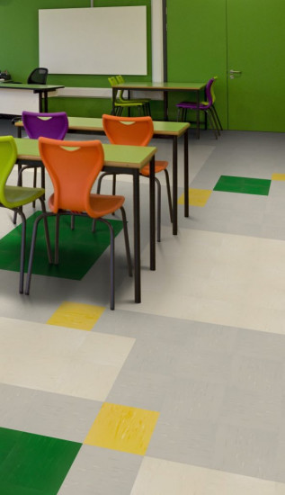 Procedo Versa Quartz US_Classroom Colors
